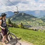 Iris-4 By Interhome Apartment Auffach